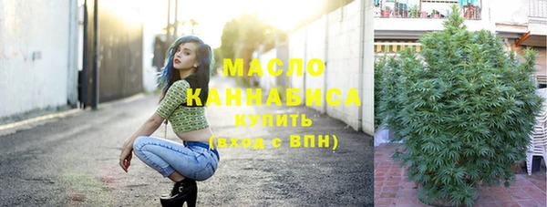 бошки Каменка