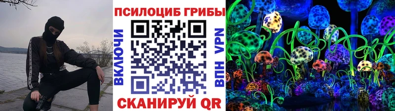 что такое наркотик  Киреевск  Псилоцибиновые грибы мицелий 